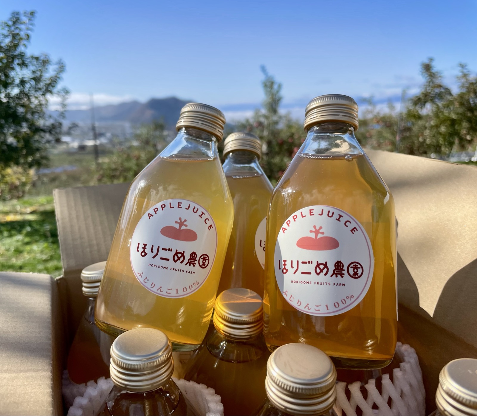 畑に並ぶ、ほりごめ農園のふじりんごジュース